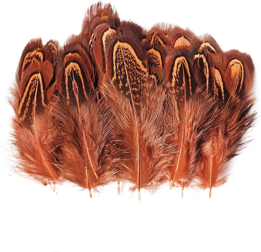 Pheasant Feathers - Hair Feathers - Dreamcatcher Feathers - Craft Feathers