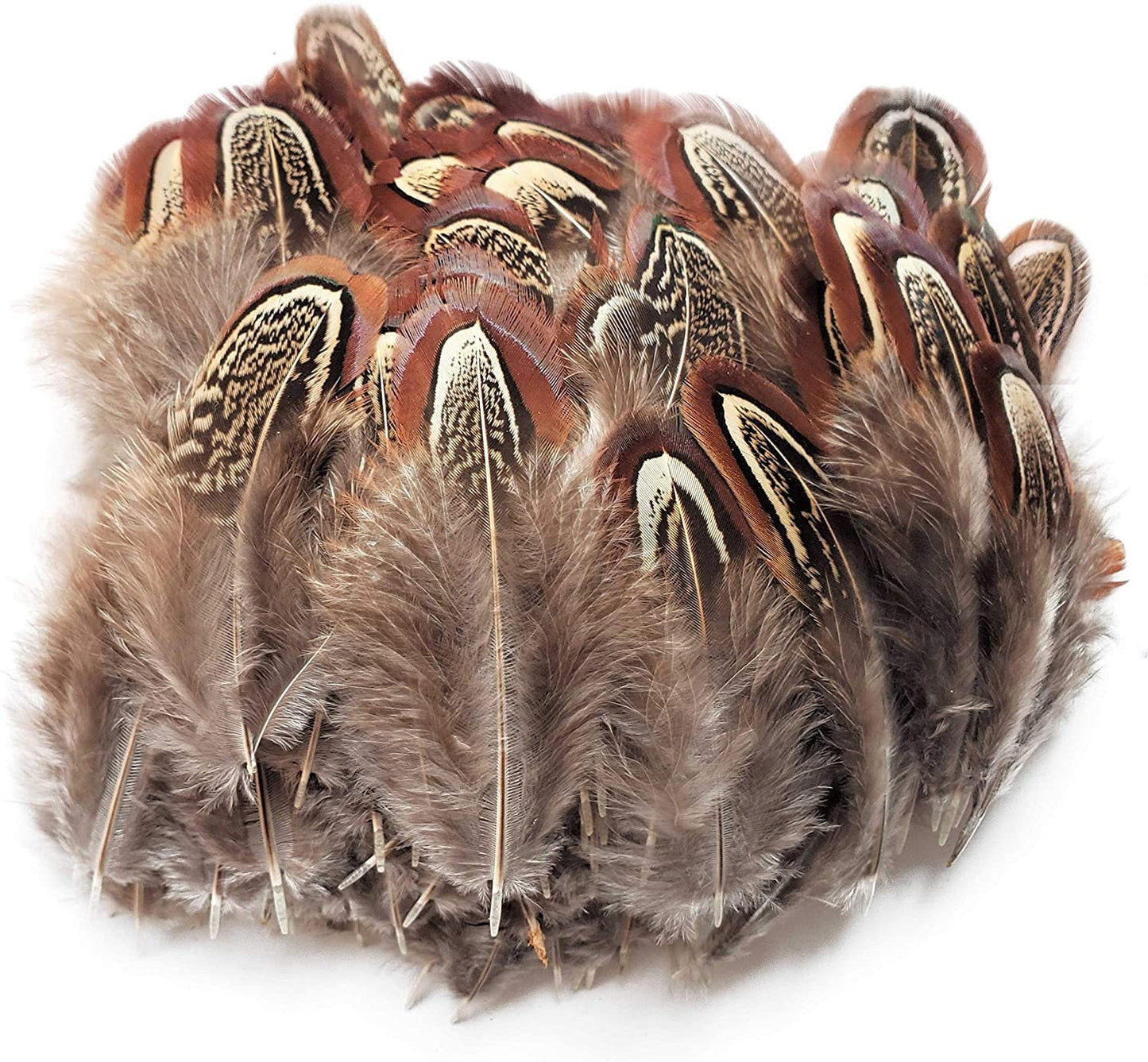 Feathers - Hair Feathers - Dreamcatcher Feathers - Craft Feathers