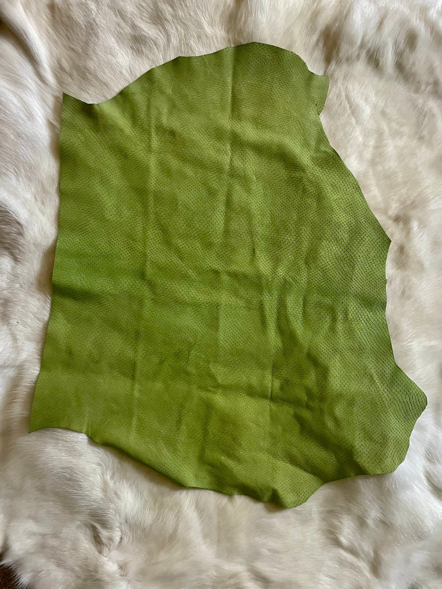 Green Scale Embossed Goat leather - Raw Leather - Wholesale Leather 1-2oz