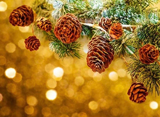 Mini Pinecones for Crafts, Wreaths, Ornaments, Resin and Trees - 50ct 1” Pinecones