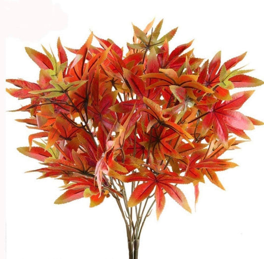 Fall Star Maple Leaves - Fall Leaves - Maple Autumn Leaves -