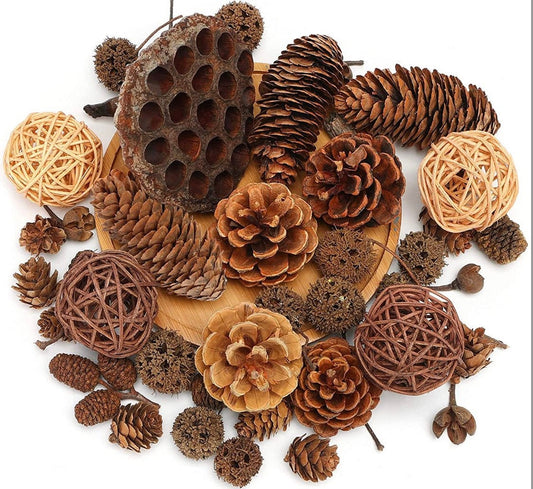 38pc Pinecone Set for Decor, Crafts, Wreaths, Ornaments, Resin and Trees