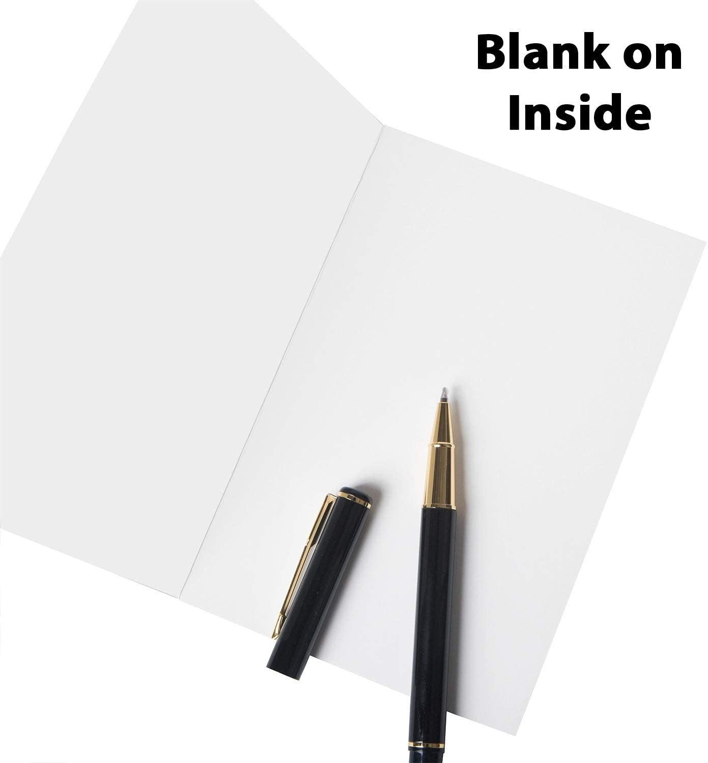 Christmas Cards - 24ct Holiday Greeting Cards - Gold Foil Card Set and Kraft Paper Envelopes - Blank interior