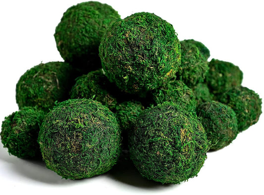 Moss Balls for terrariums, biospheres, home decor - Kokedama - 100% Natural dried preserved moss ball