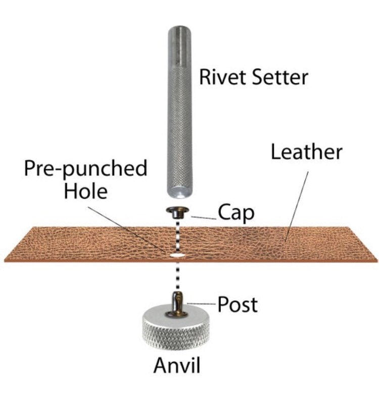 Single Cap Rapid Rivets for Leather - 50ct 3mm - 7mm sizes in Gold Silver Gunmetal and Bronze - Fast Shipping from USA!