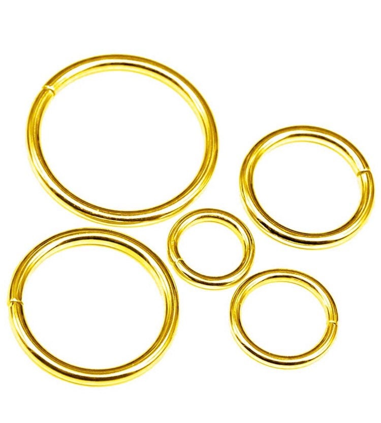 Metal Ring - Webbing Hardware - 10ct Silver and Gold Metal O-Rings for Dog Collars, Leashes, Purses, Bags, Key Chains, and Straps