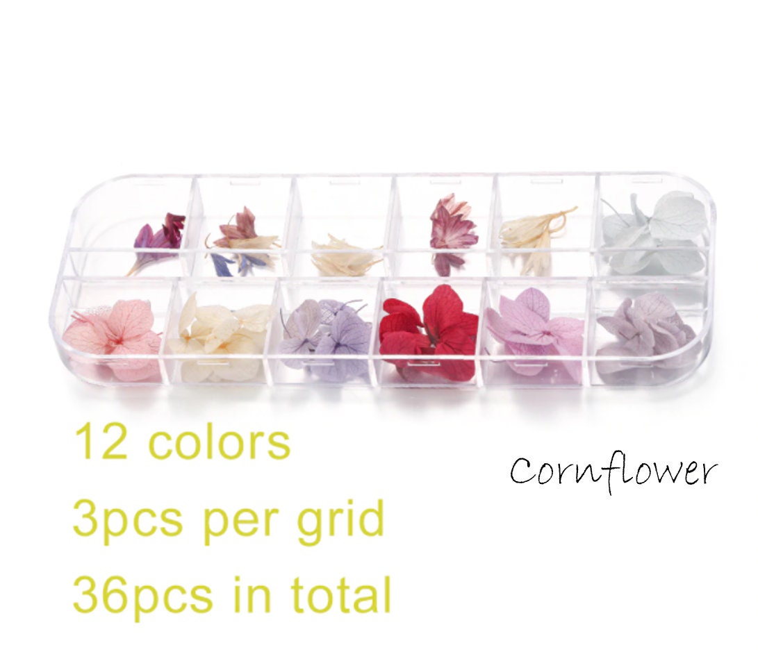 Real Dried Flower Box for Resin, Soaps, and Candles