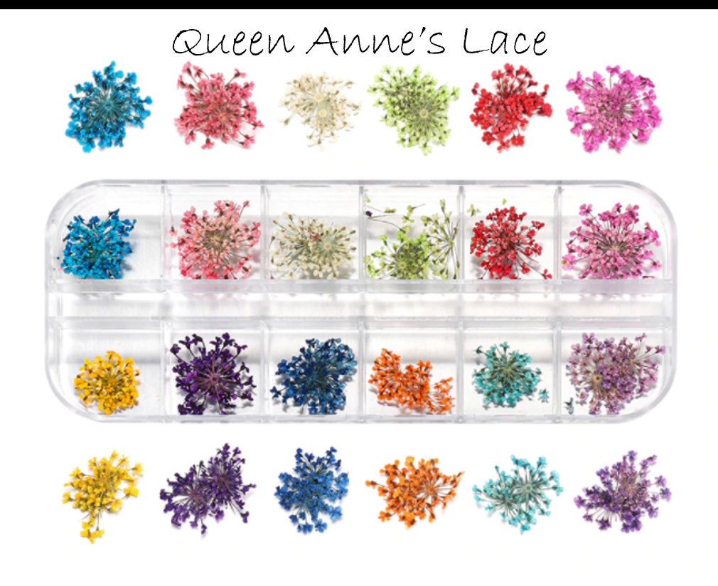 Real Dried Flower Box for Resin, Soaps, and Candles