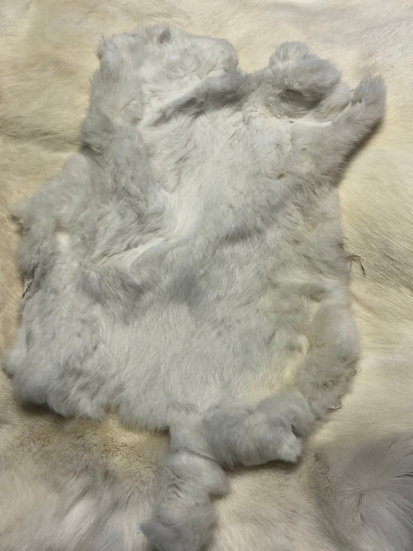 Craft grade large assorted rabbit pelt hides