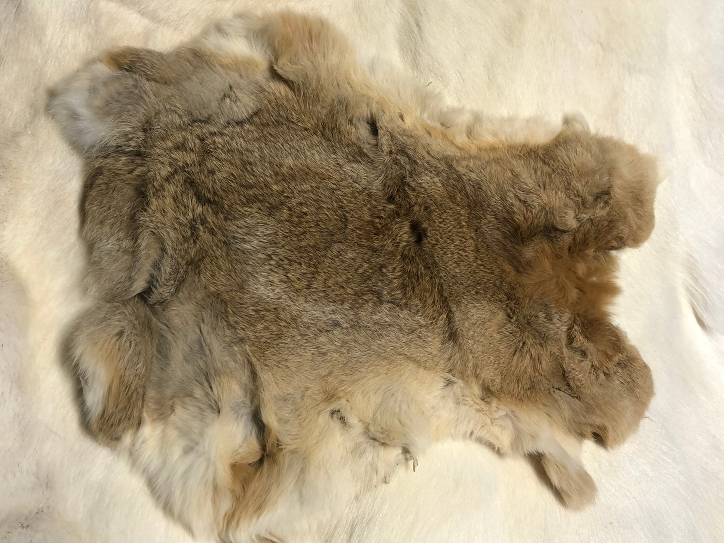 Craft grade large assorted rabbit pelt hides