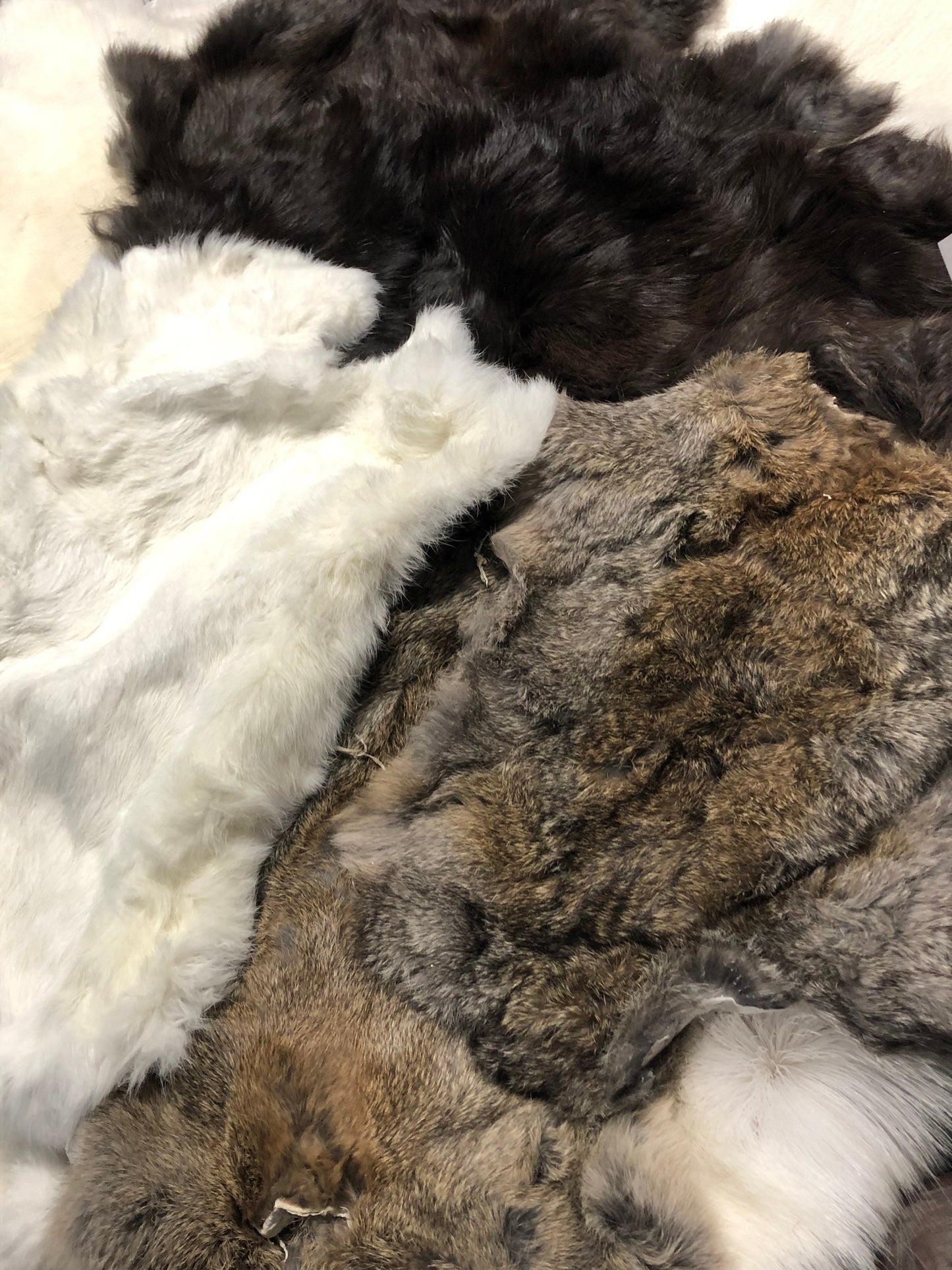 Craft grade large assorted rabbit pelt hides