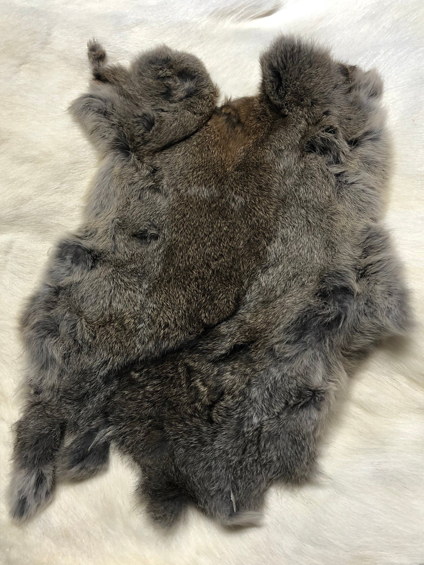 Craft grade large assorted rabbit pelt hides