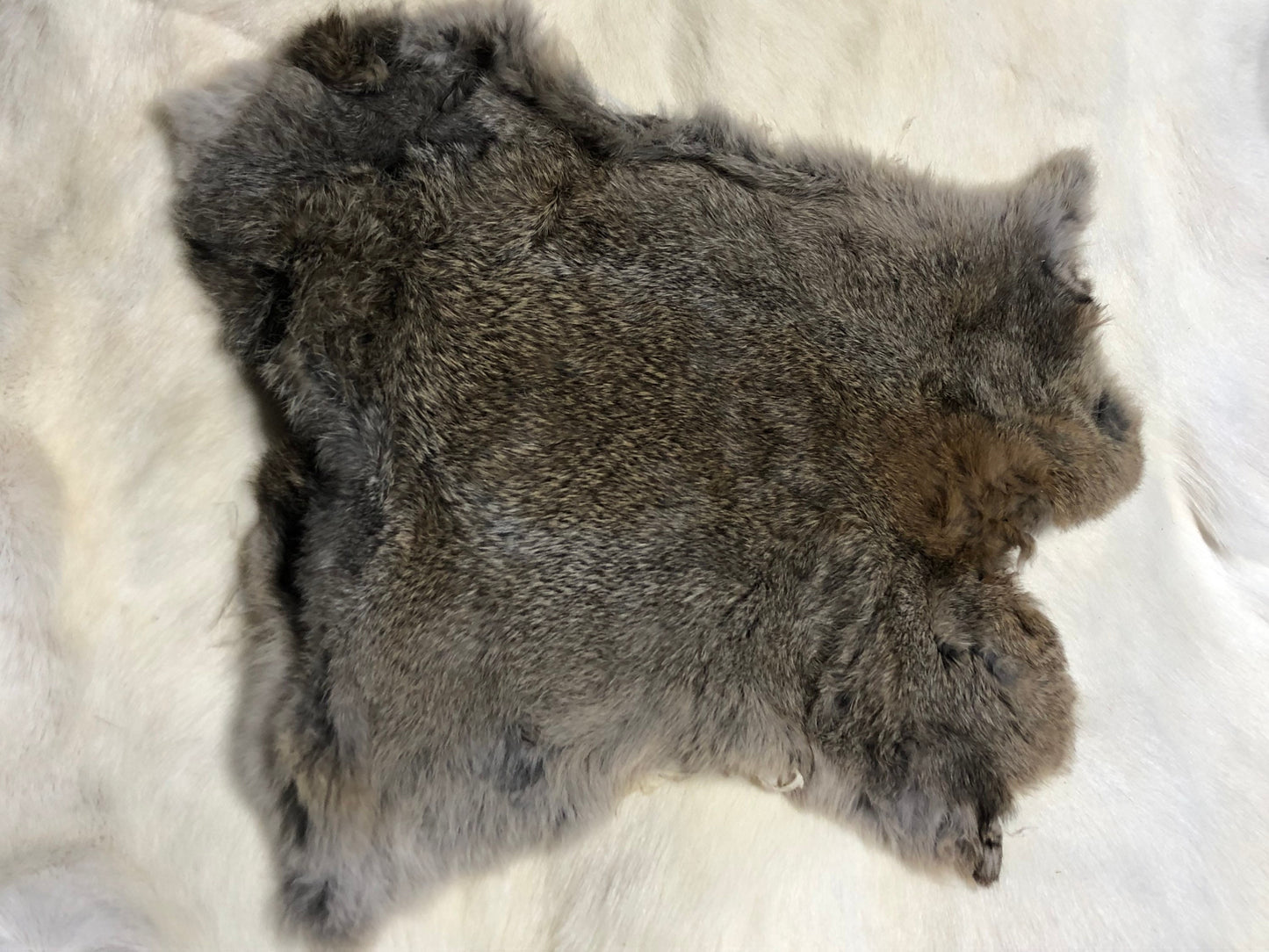 Craft grade large assorted rabbit pelt hides