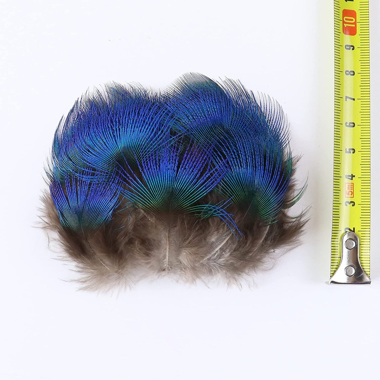 Natural Peacock Plumage Feathers - Hair Feathers - Dreamcatcher Feathers - Craft Feathers