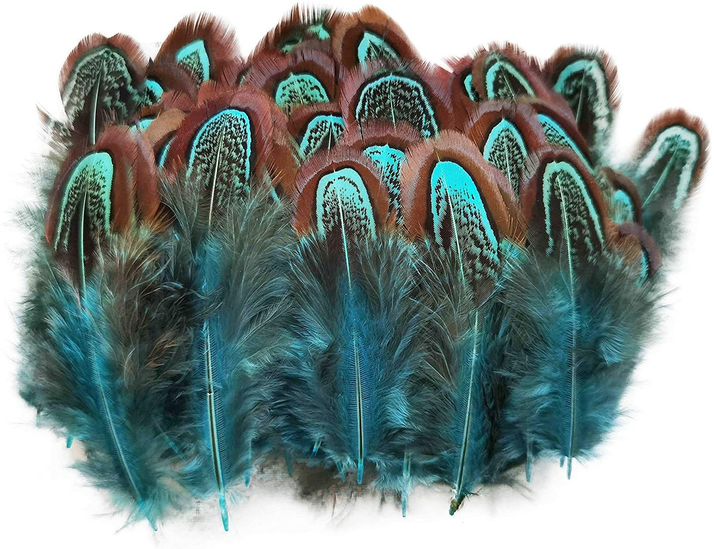Pheasant Feathers - Hair Feathers - Dreamcatcher Feathers - Craft Feathers