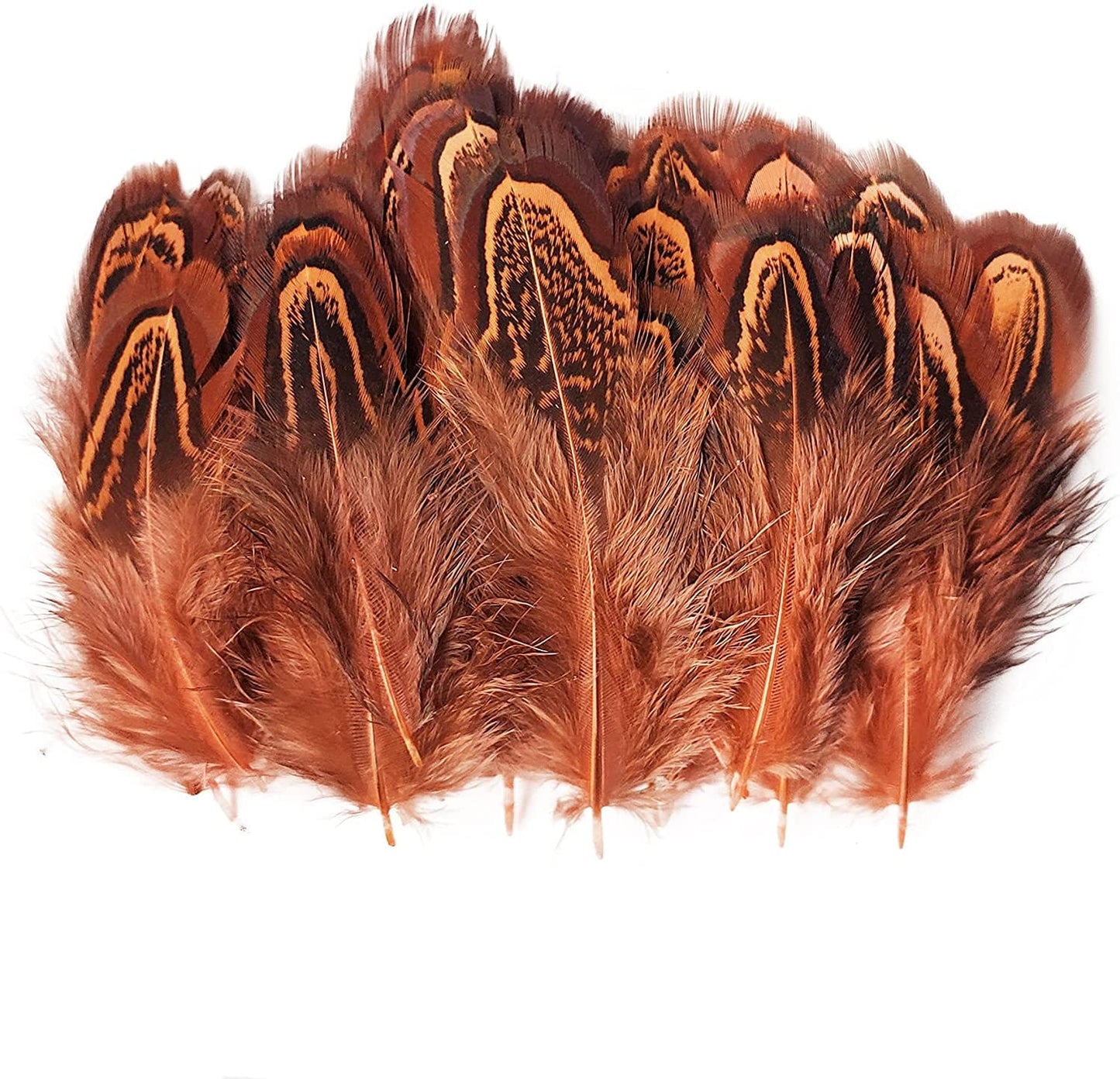 Feathers - Hair Feathers - Dreamcatcher Feathers - Craft Feathers