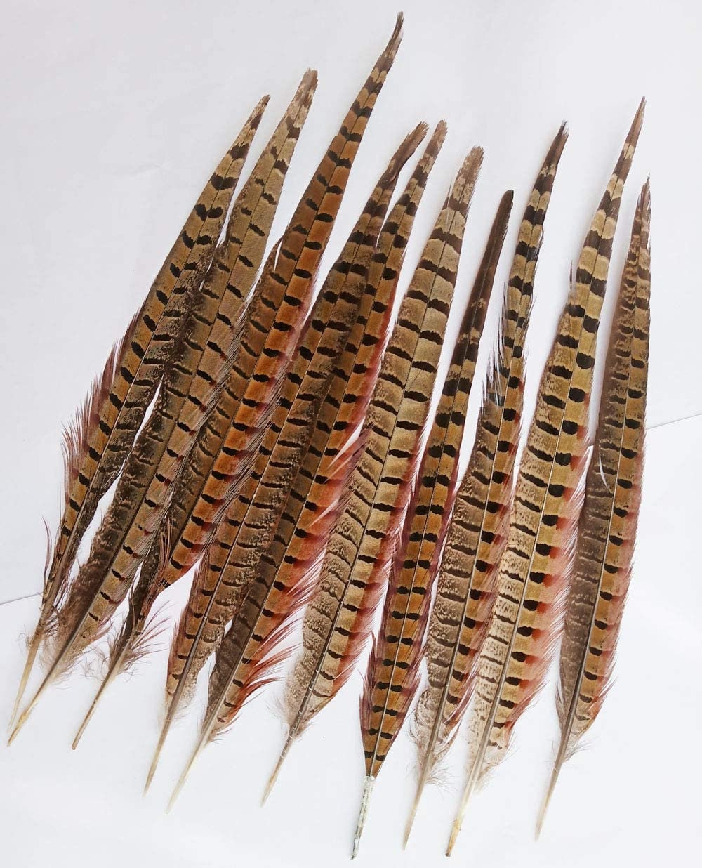 14-16" Pheasant Tail Feathers 5ct - Hair Feathers - Dreamcatcher Feathers - Craft Feathers