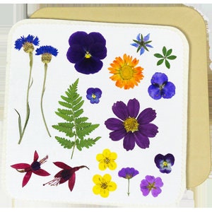 Microwave Flower Press - Dried Flowers in Minutes!