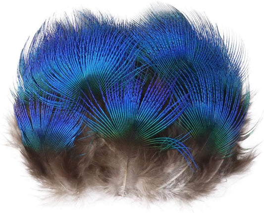 Natural Peacock Plumage Feathers - Hair Feathers - Dreamcatcher Feathers - Craft Feathers
