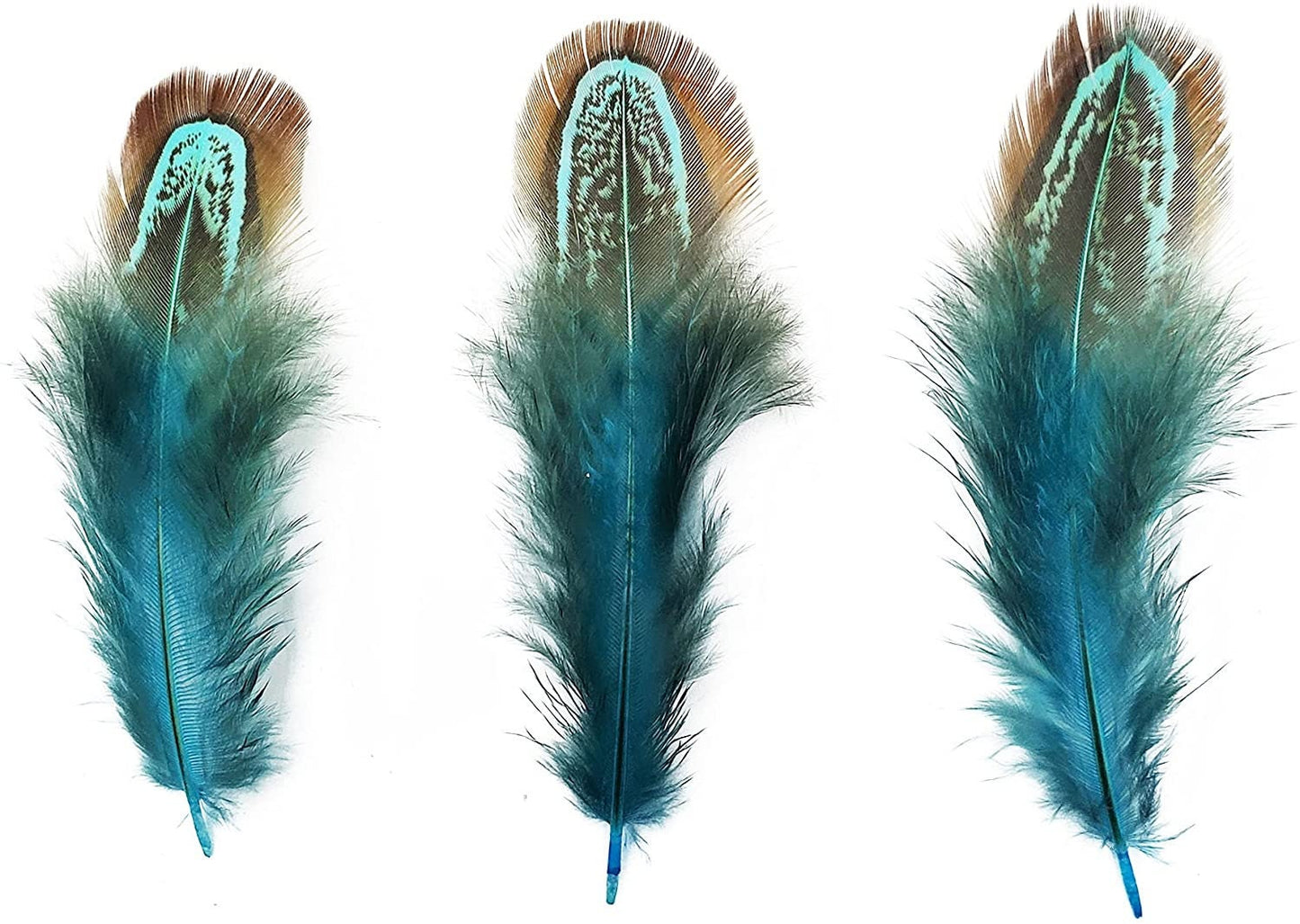 Pheasant Feathers - Hair Feathers - Dreamcatcher Feathers - Craft Feathers