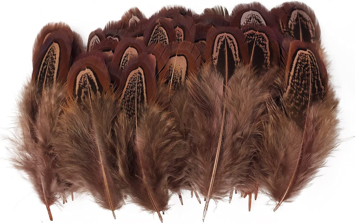 Pheasant Feathers - Hair Feathers - Dreamcatcher Feathers - Craft Feathers