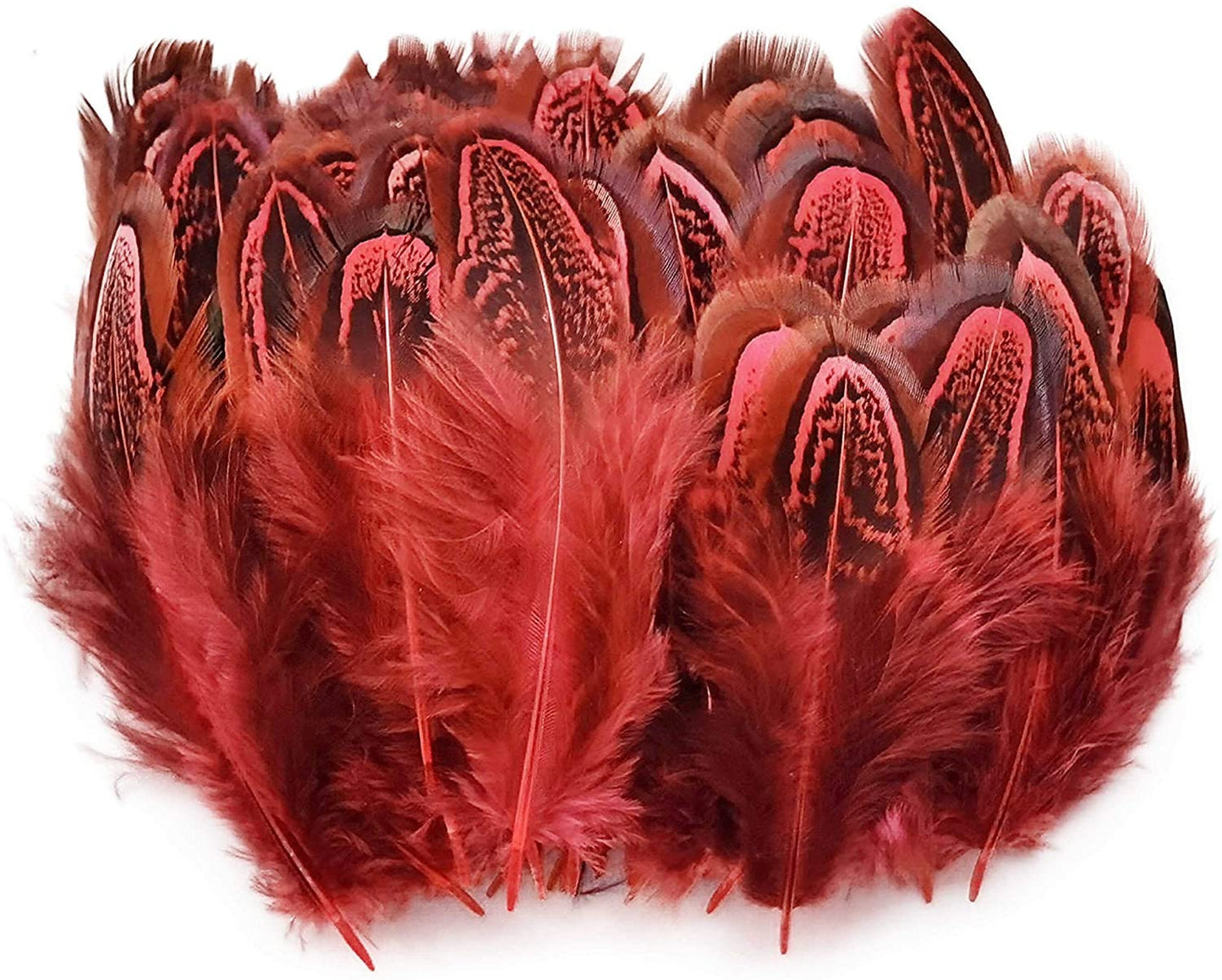 Pheasant Feathers - Hair Feathers - Dreamcatcher Feathers - Craft Feathers