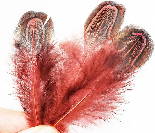 Feathers - Hair Feathers - Dreamcatcher Feathers - Craft Feathers
