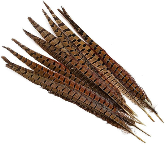 14-16" Pheasant Tail Feathers 5ct - Hair Feathers - Dreamcatcher Feathers - Craft Feathers