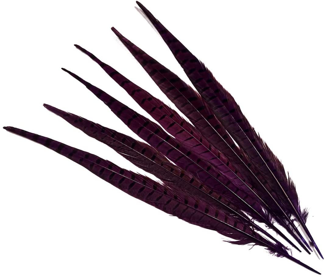 14-16" Pheasant Tail Feathers 5ct - Hair Feathers - Dreamcatcher Feathers - Craft Feathers