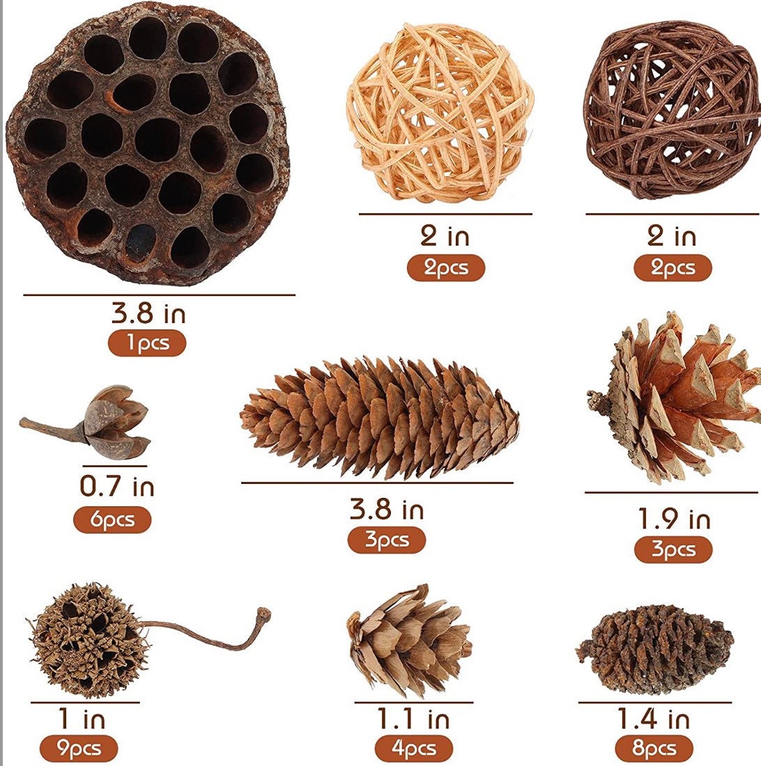 38pc Pinecone Set for Decor, Crafts, Wreaths, Ornaments, Resin and Trees