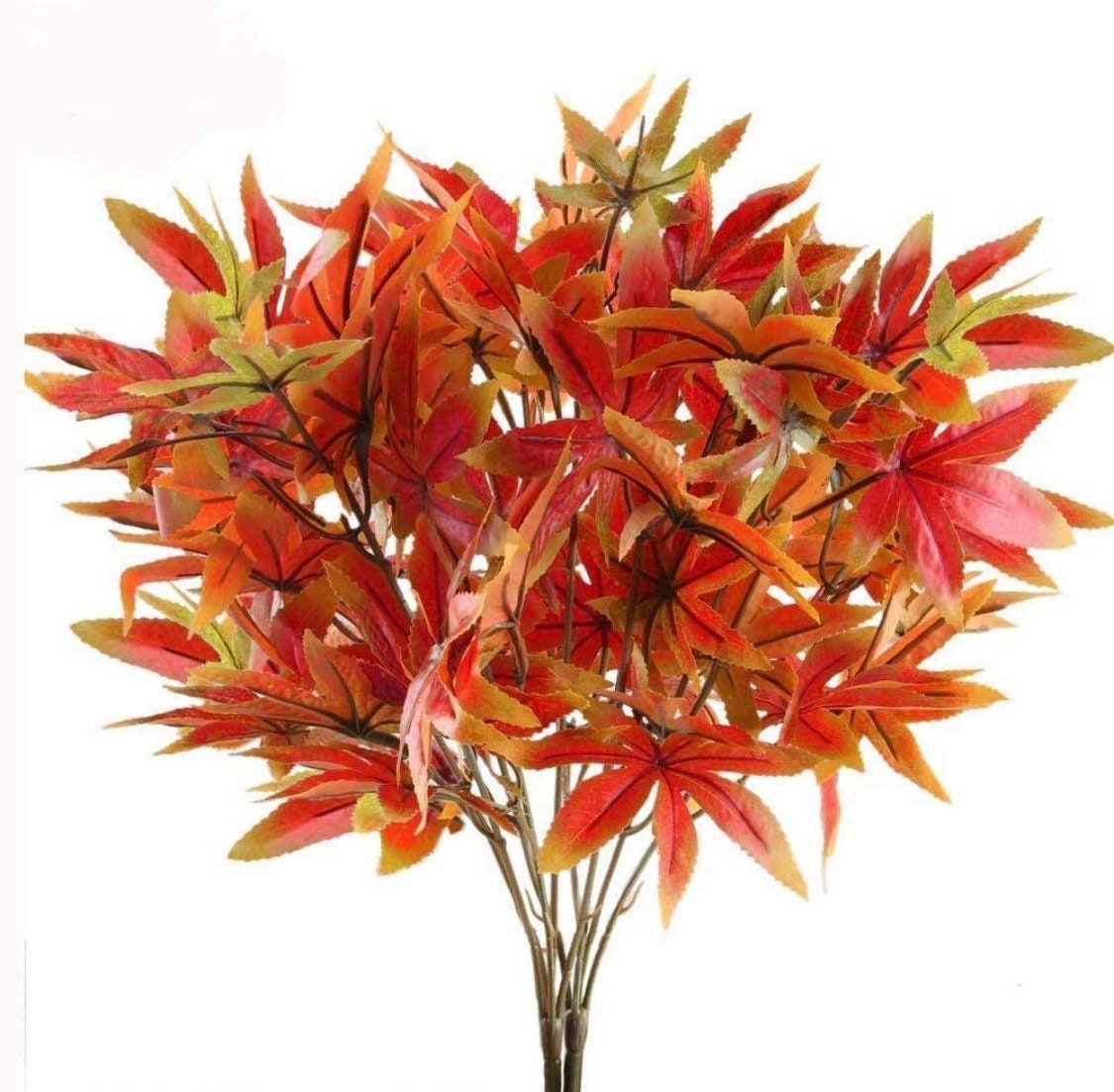 Fall Star Maple Leaves - Fall Leaves - Maple Autumn Leaves -