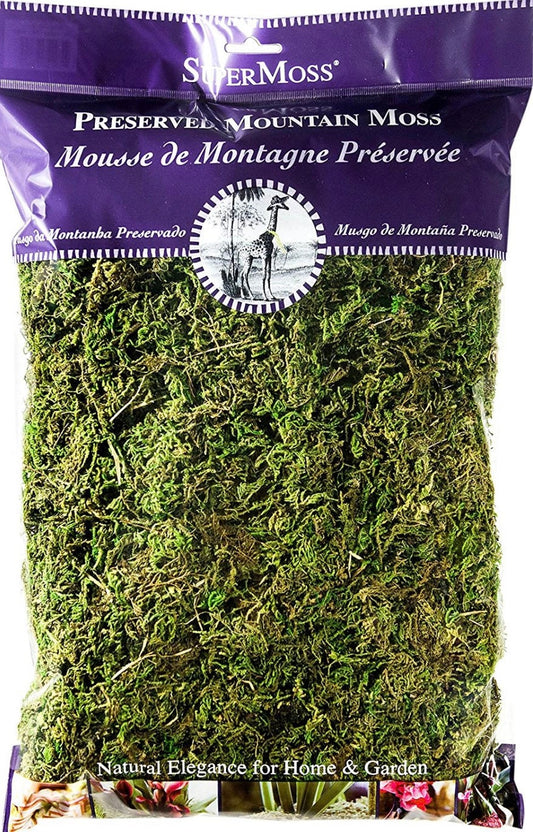 Natural Green Mountain Moss for Models, Floral Arrangements, Resin, and Crafts