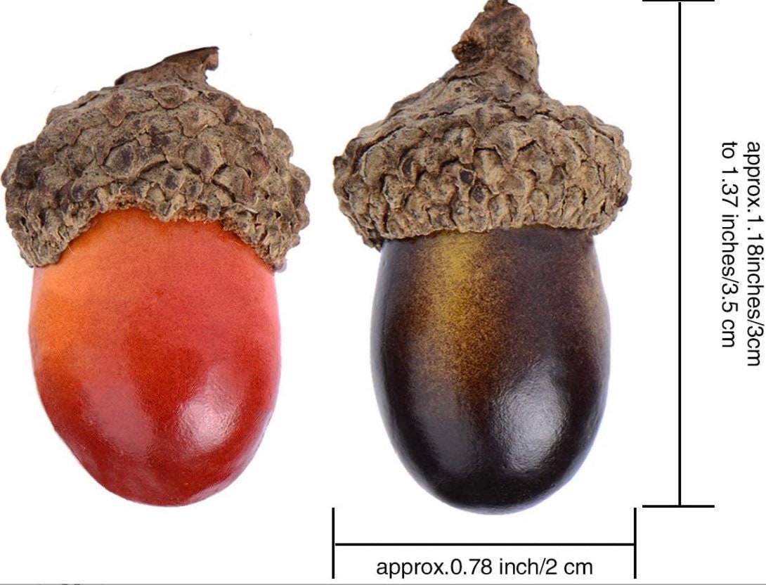 Acorns for Crafts, Wreaths, Ornaments, Resin and Trees - 20ct Artificial Acorns