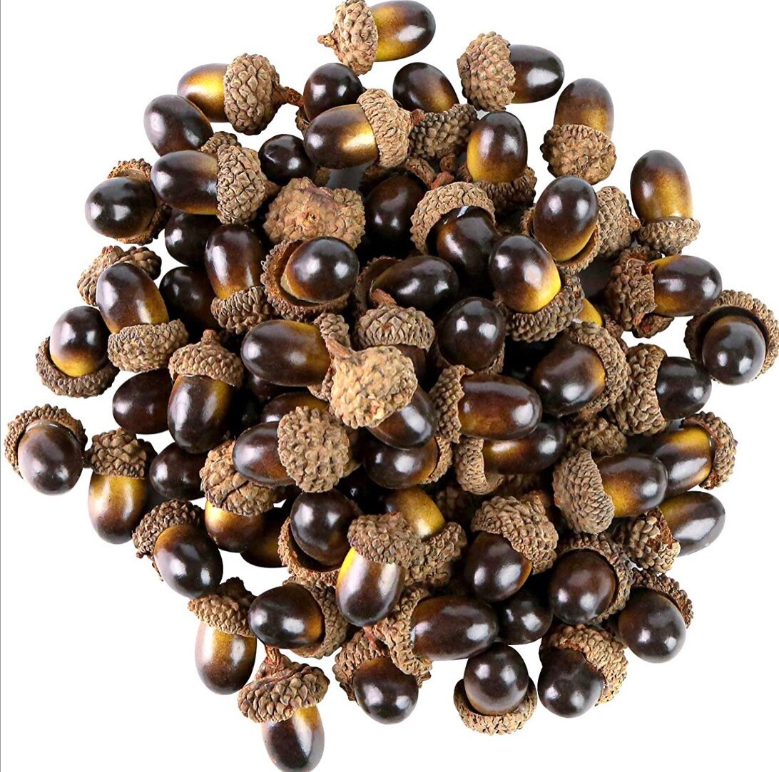 Acorns for Crafts, Wreaths, Ornaments, Resin and Trees - 20ct Artificial Acorns