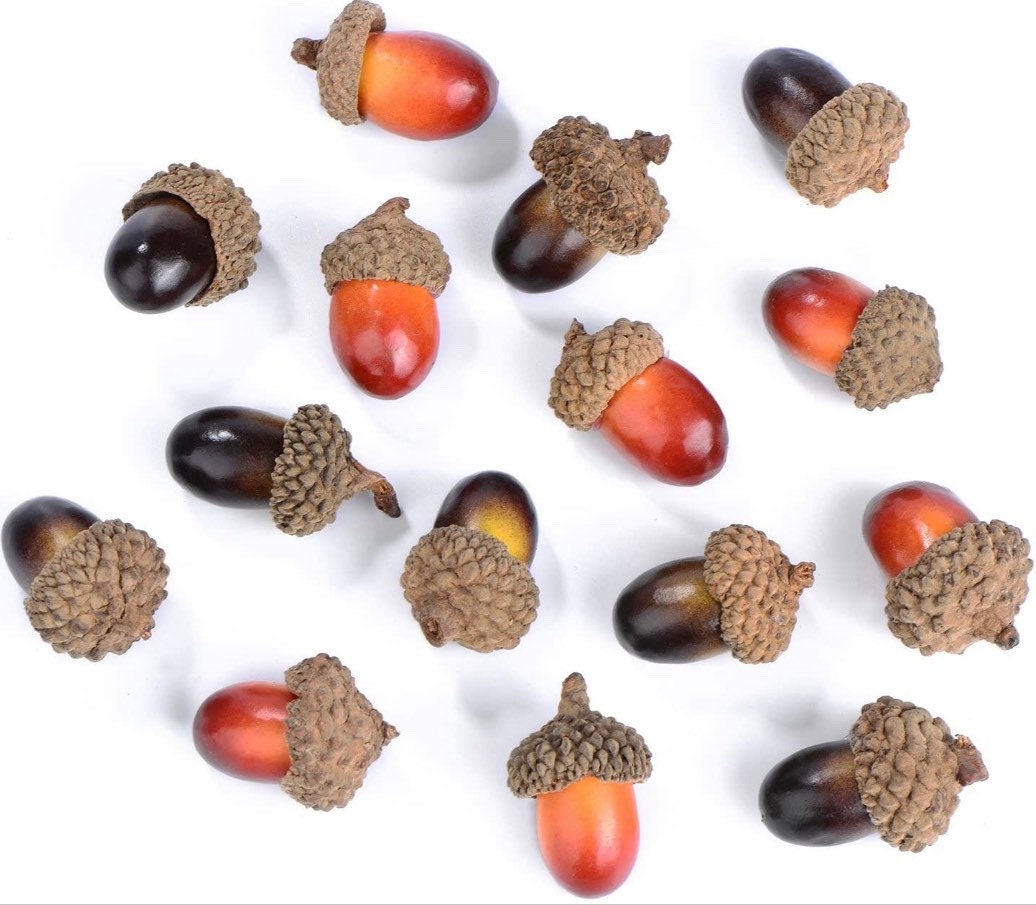 Acorns for Crafts, Wreaths, Ornaments, Resin and Trees - 20ct Artificial Acorns