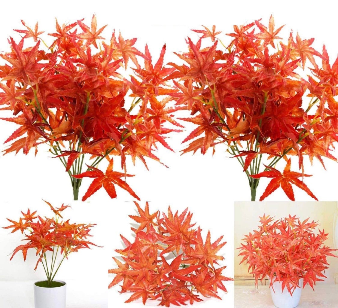 Fall Star Maple Leaves - Fall Leaves - Maple Autumn Leaves -