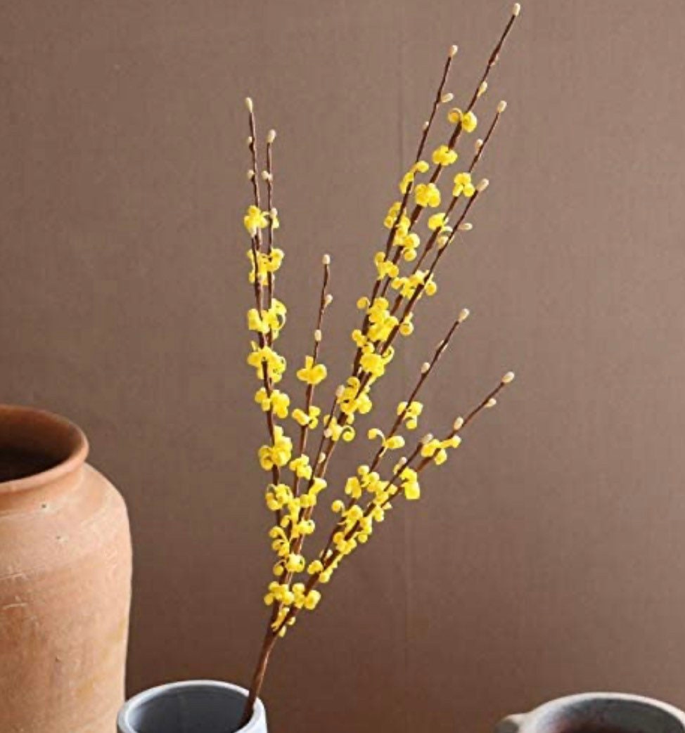 Jasmine flowers - Long stem vase flowers - Fake flower stems - Winter stems - Spring home decor