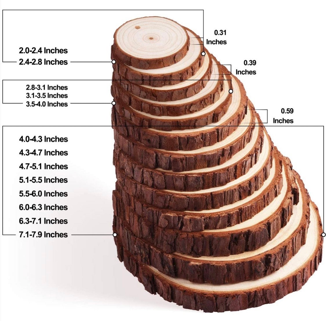 Natural Wood Bark Circles for Painting, Wood Burning, Ornaments, and Crafts - 10pc