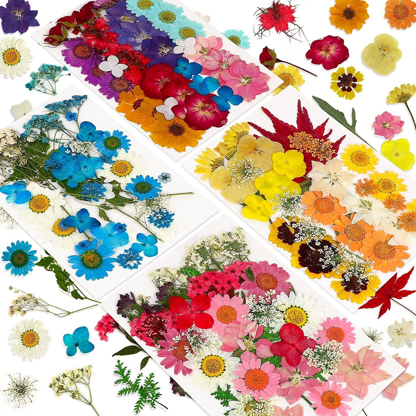 Dried Flowers - Whole Dried Flowers for Resin and Soaps - 146 pcs