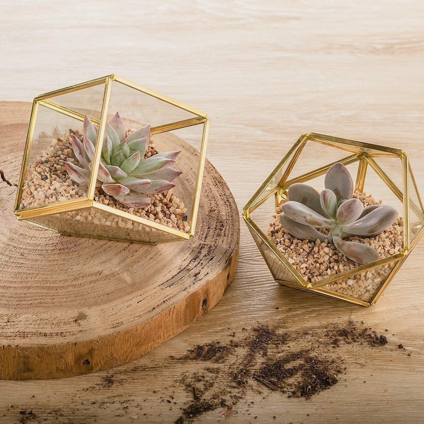 Geometric Flower Pot Set - 3 Mini Glass Geometric Terrarium Containers - Indoor Succulent Pot