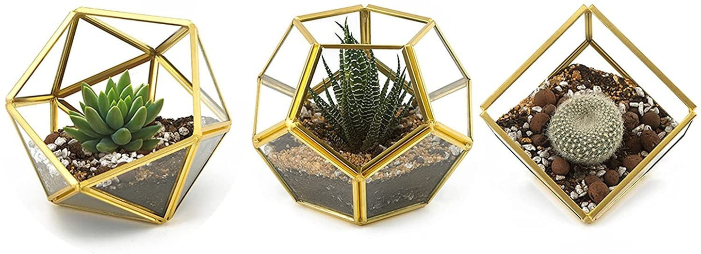 Geometric Flower Pot Set - 3 Mini Glass Geometric Terrarium Containers - Indoor Succulent Pot