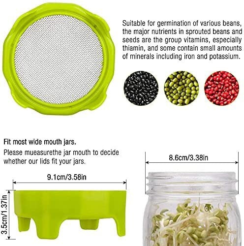 Sprout Lids - Germination Jars - Mason Jar Plants - Grow your own Bean Sprouts