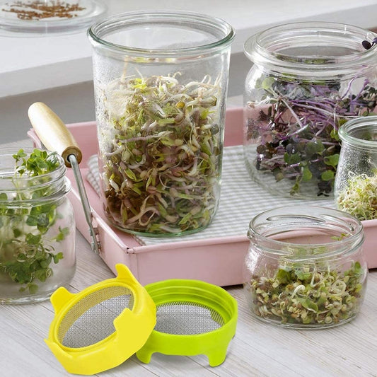 Sprout Lids - Germination Jars - Mason Jar Plants - Grow your own Bean Sprouts