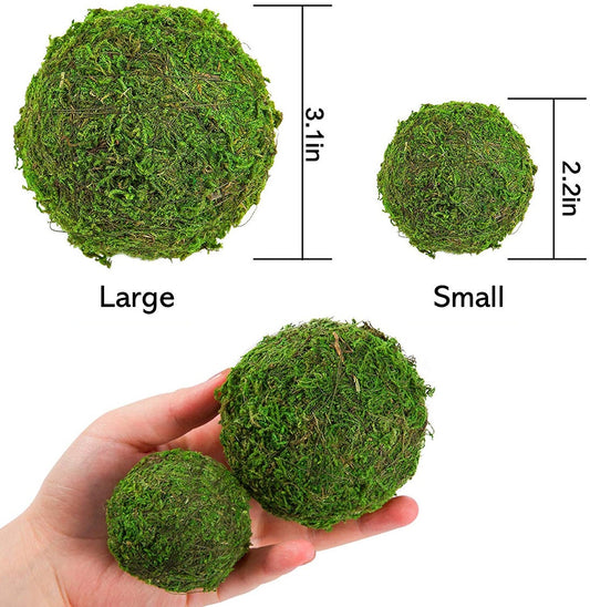 Moss Balls for terrariums, biospheres, home decor - Kokedama - 100% Natural dried preserved moss ball