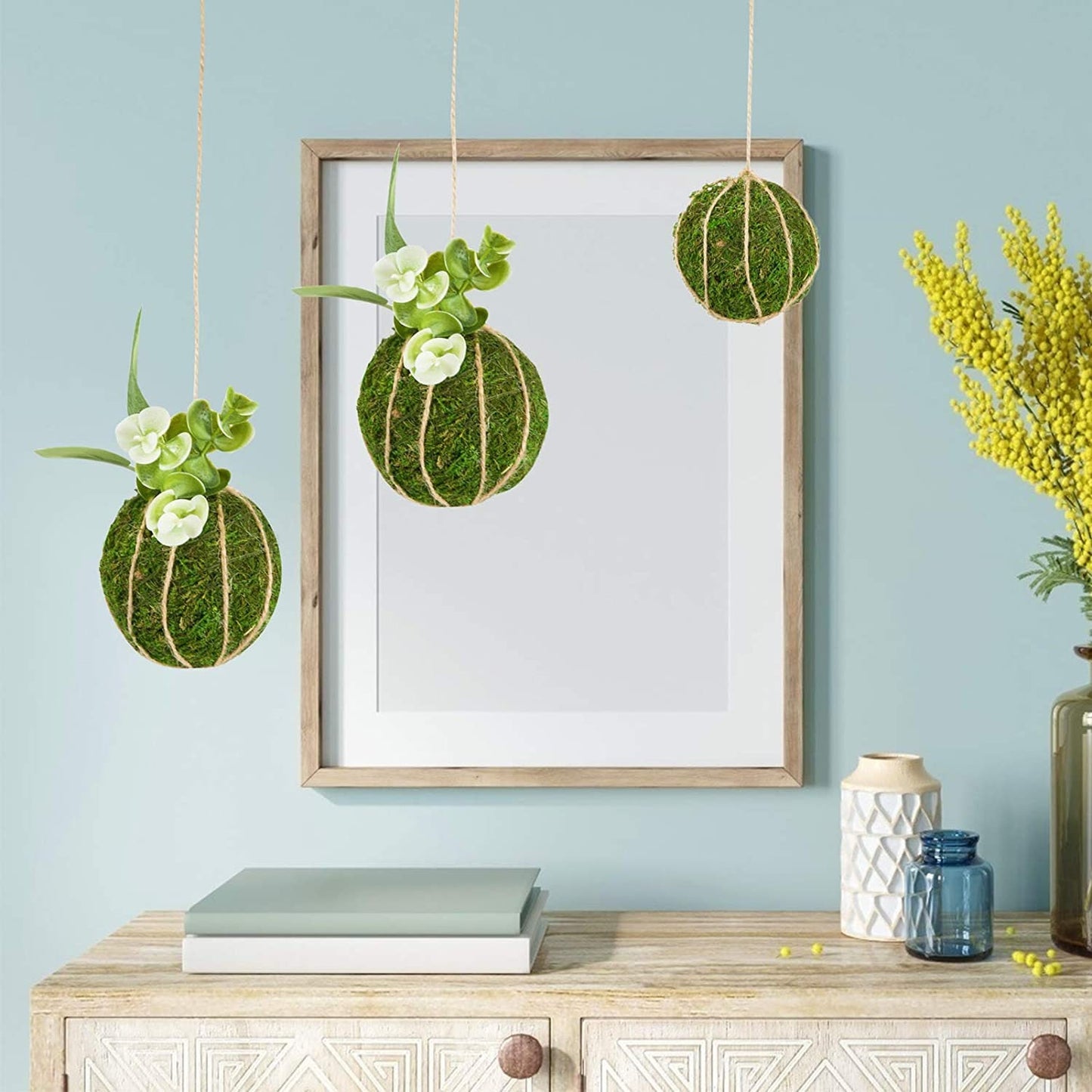 Moss Balls for terrariums, biospheres, home decor - Kokedama - 100% Natural dried preserved moss ball