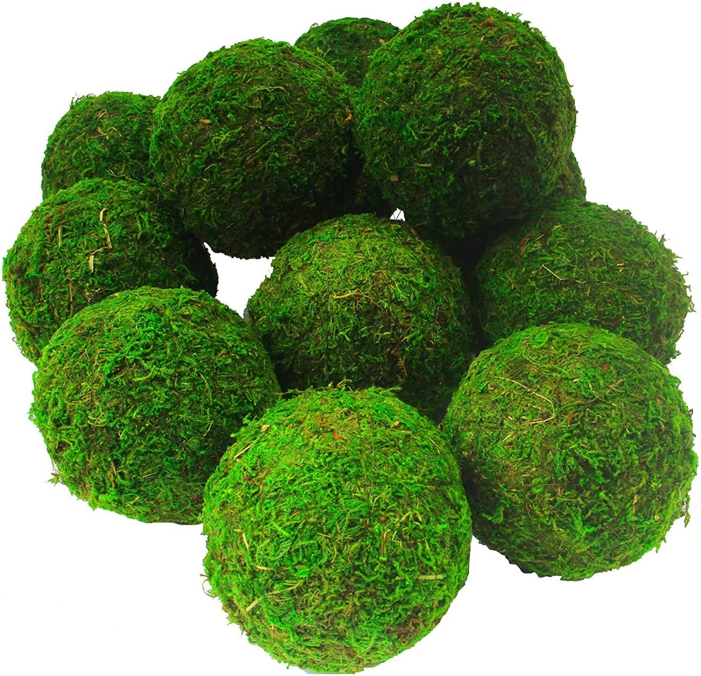 Moss Balls for terrariums, biospheres, home decor - Kokedama - 100% Natural dried preserved moss ball