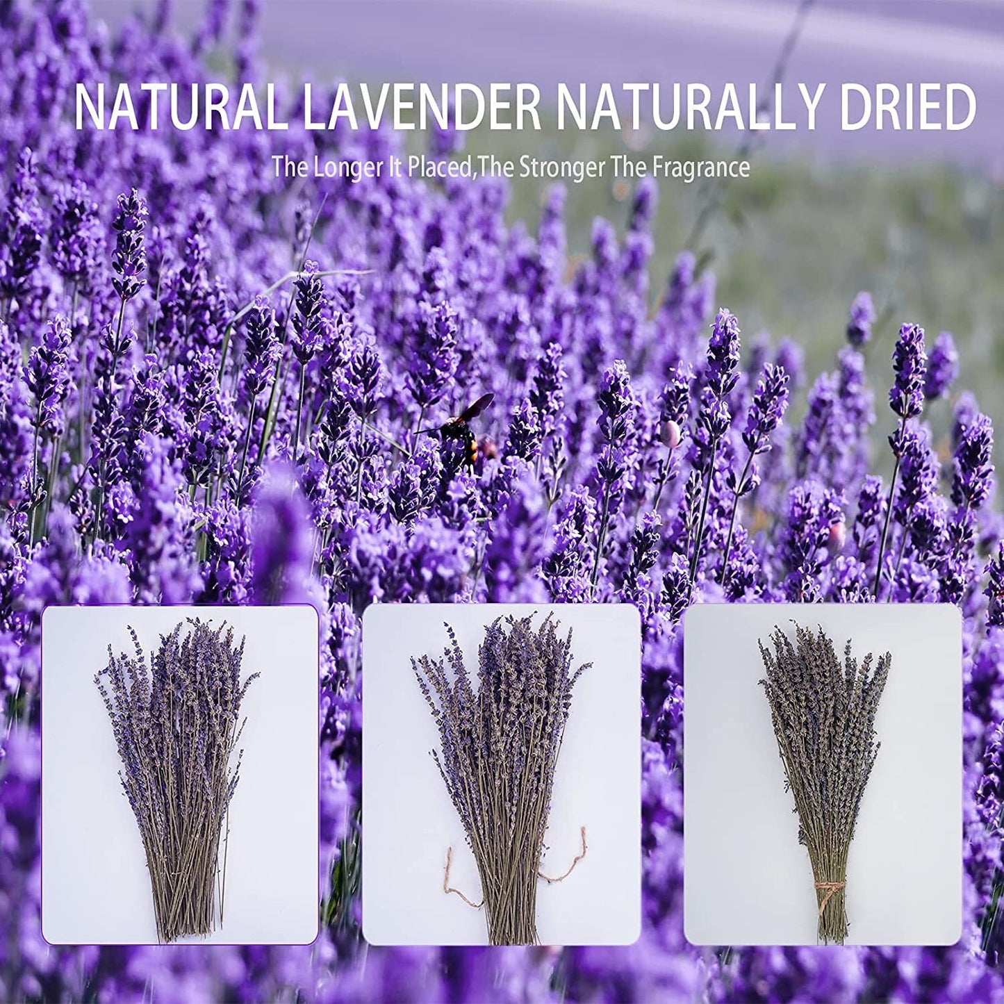 Dried Lavender Bundle - Purple Flower bouqet - Wedding Decor - Party Events - Natural Flowers - Home Fragrance - Naturally Scented